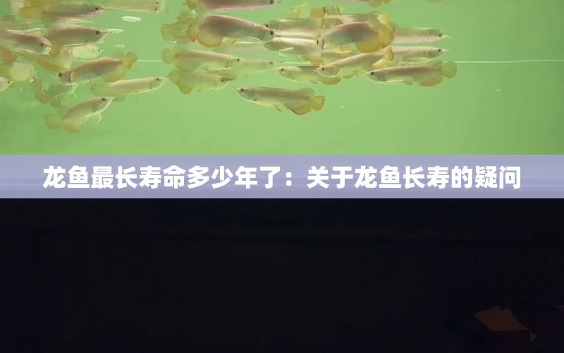 龍魚(yú)最長(zhǎng)壽命多少年了：關(guān)于龍魚(yú)長(zhǎng)壽的疑問(wèn) 水族問(wèn)答 第1張