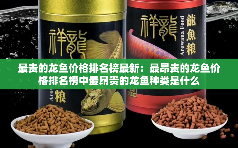 最貴的龍魚價(jià)格排名榜最新：最昂貴的龍魚價(jià)格排名榜中最昂貴的龍魚種類是什么 水族問答 第1張