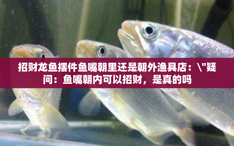 招財(cái)龍魚擺件魚嘴朝里還是朝外漁具店：\