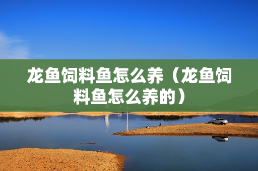 龍魚飼料魚怎么養(yǎng)（龍魚飼料魚怎么養(yǎng)的） 龍魚疾病與治療 第1張