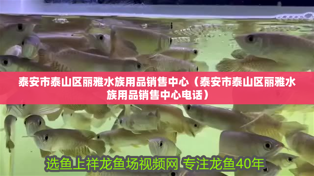 泰安市泰山區(qū)麗雅水族用品銷售中心（泰安市泰山區(qū)麗雅水族用品銷售中心電話） 水族用品 第1張