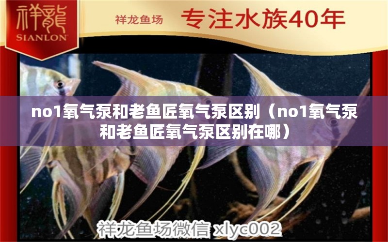 no1氧氣泵和老魚匠氧氣泵區(qū)別（no1氧氣泵和老魚匠氧氣泵區(qū)別在哪） 老魚匠