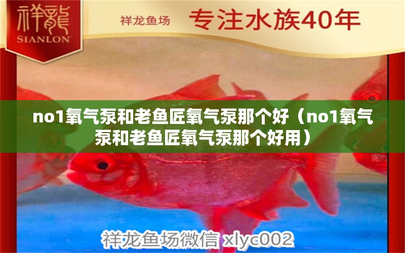 no1氧氣泵和老魚匠氧氣泵那個(gè)好（no1氧氣泵和老魚匠氧氣泵那個(gè)好用）