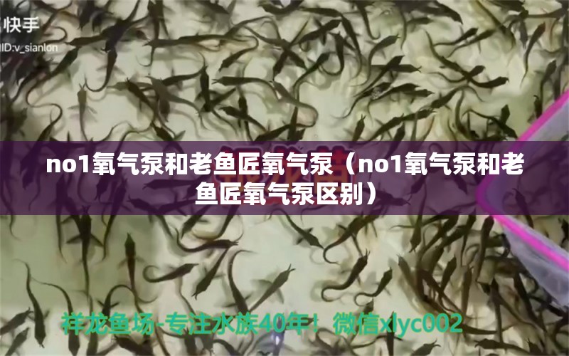 no1氧氣泵和老魚匠氧氣泵（no1氧氣泵和老魚匠氧氣泵區(qū)別）