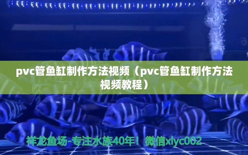 pvc管魚(yú)缸制作方法視頻（pvc管魚(yú)缸制作方法視頻教程） 量子養(yǎng)魚(yú)技術(shù)