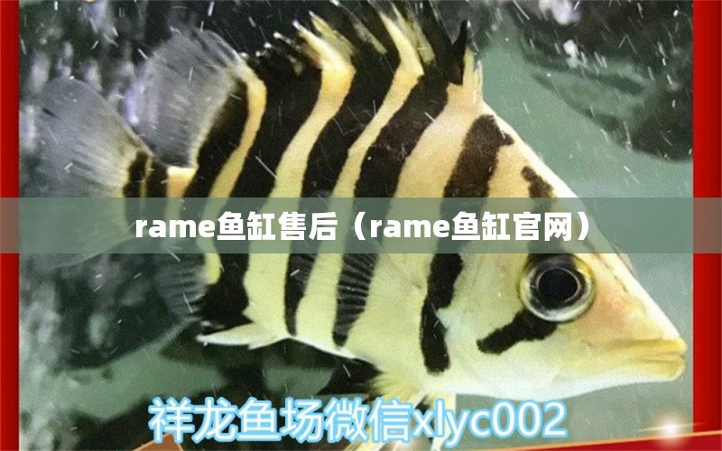 rame魚缸售后（rame魚缸官網(wǎng)） 其他品牌魚缸