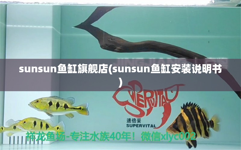 sunsun魚缸旗艦店(sunsun魚缸安裝說(shuō)明書) 金龍福龍魚