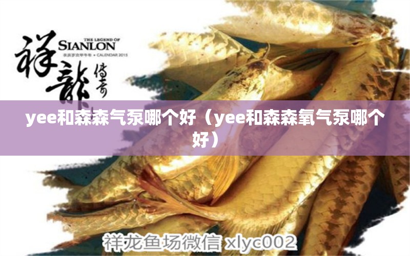 yee和森森氣泵哪個(gè)好（yee和森森氧氣泵哪個(gè)好） yee