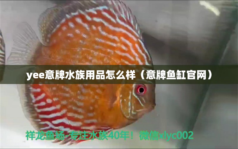 yee意牌水族用品怎么樣（意牌魚缸官網(wǎng)） yee 第1張