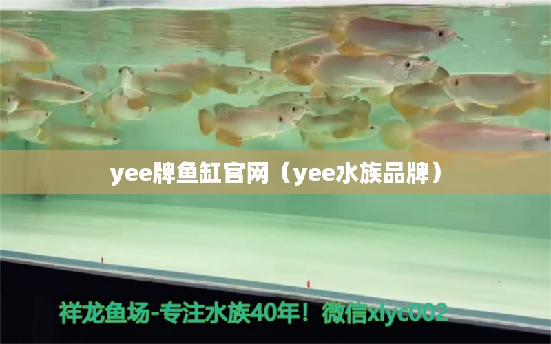 yee牌魚缸官網(wǎng)（yee水族品牌）