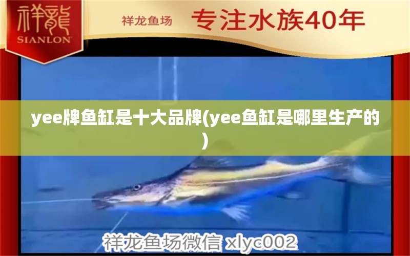 yee牌魚缸是十大品牌(yee魚缸是哪里生產(chǎn)的)