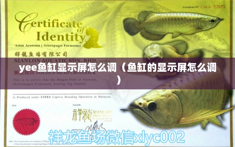 yee魚缸顯示屏怎么調(diào)（魚缸的顯示屏怎么調(diào)）