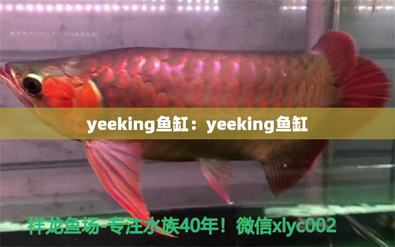 yeeking魚缸：yeeking魚缸 yee