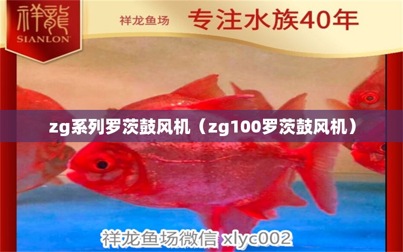 zg系列羅茨鼓風(fēng)機(jī)（zg100羅茨鼓風(fēng)機(jī)）