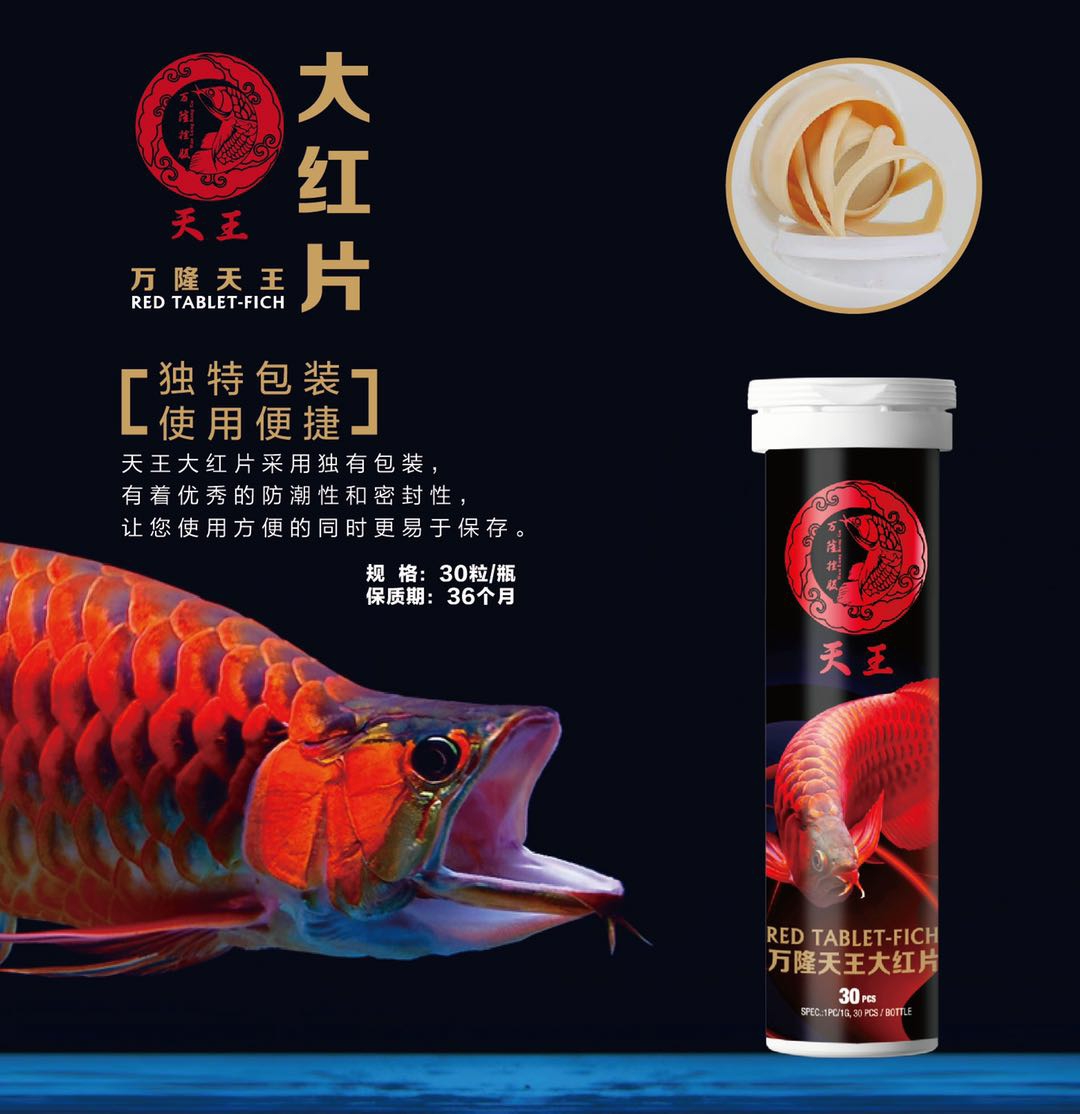 龍魚的福音 廣州觀賞魚批發(fā)市場(chǎng) 第4張