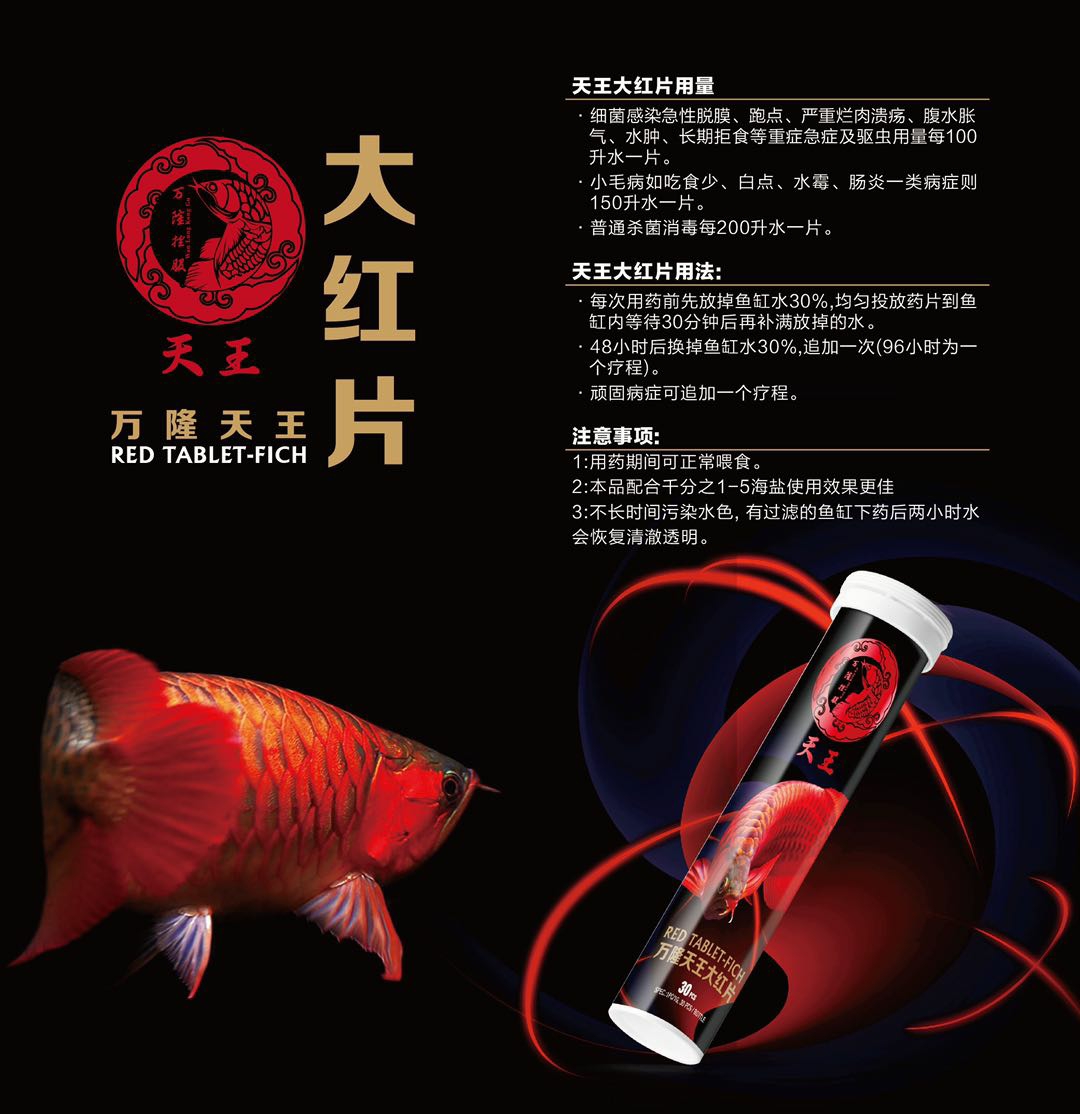 龍魚的福音 廣州觀賞魚批發(fā)市場(chǎng) 第6張