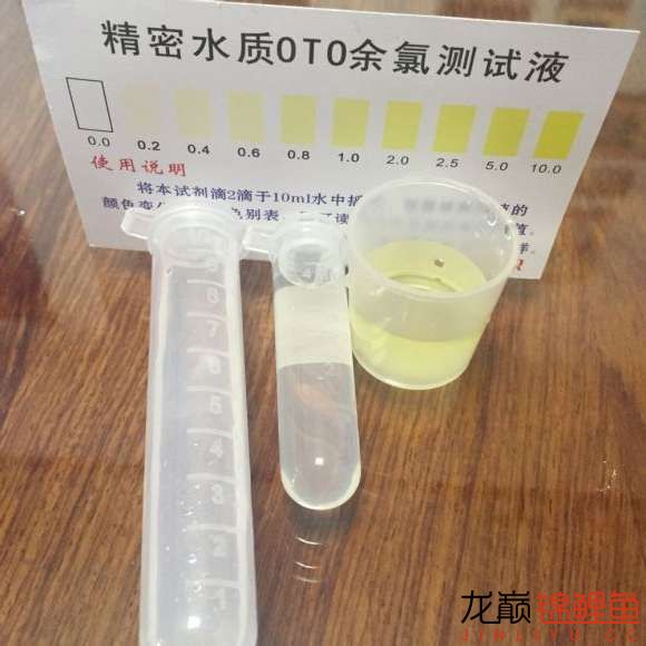 凈水器的水可以直接進(jìn)缸嗎？