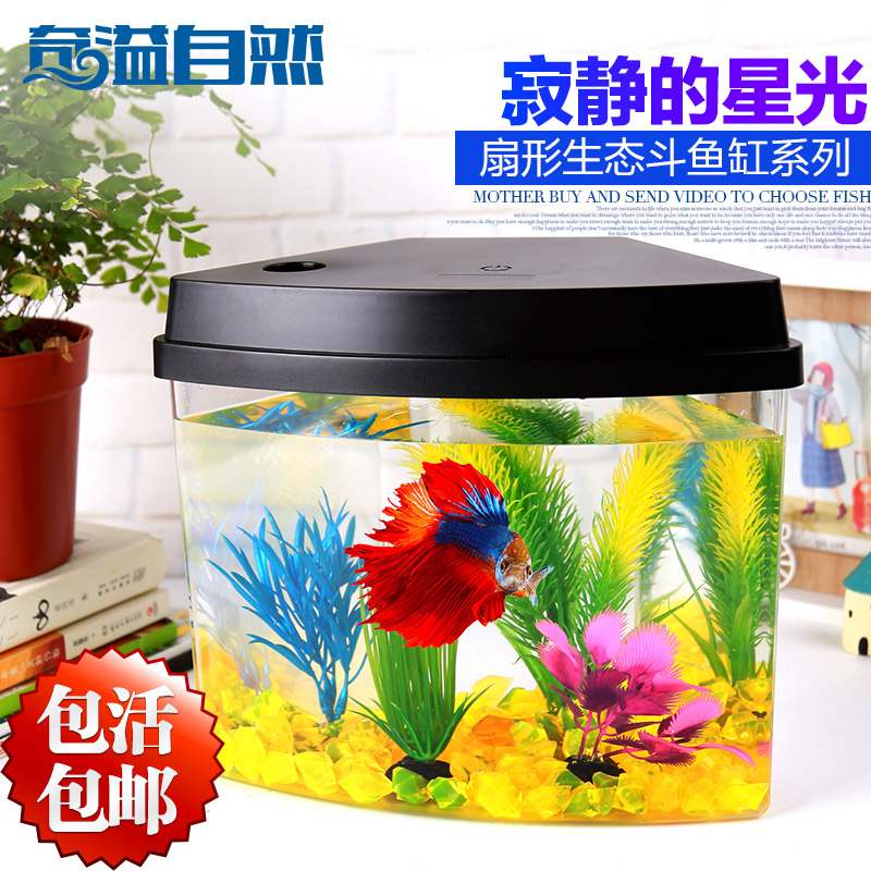 日常聽歌訓練大紅袍 水族用品 第2張