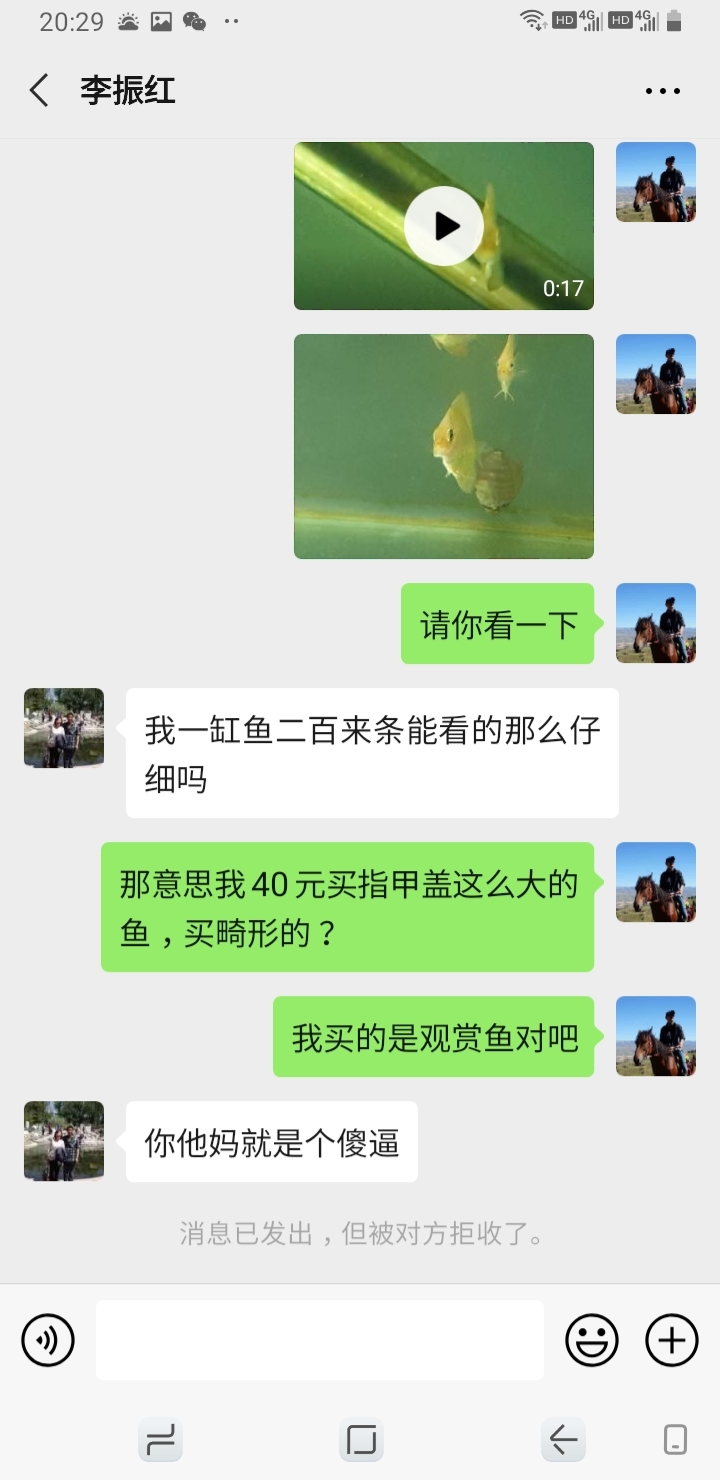 揭露大連老李這個(gè)騙子在咸魚上看到他家七彩很漂亮所以買了他家40元一只的魚苗結(jié)果收到 月光鴨嘴魚 第4張