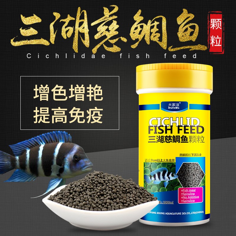 夏天到了龍魚已經(jīng)開始退色 慈雕魚 第3張