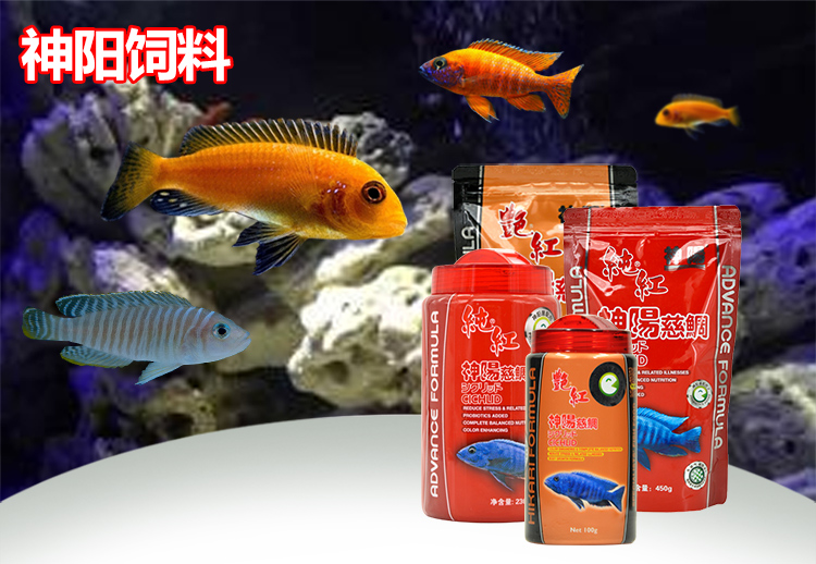 大家早上好新的一天新的開始 慈雕魚 第2張