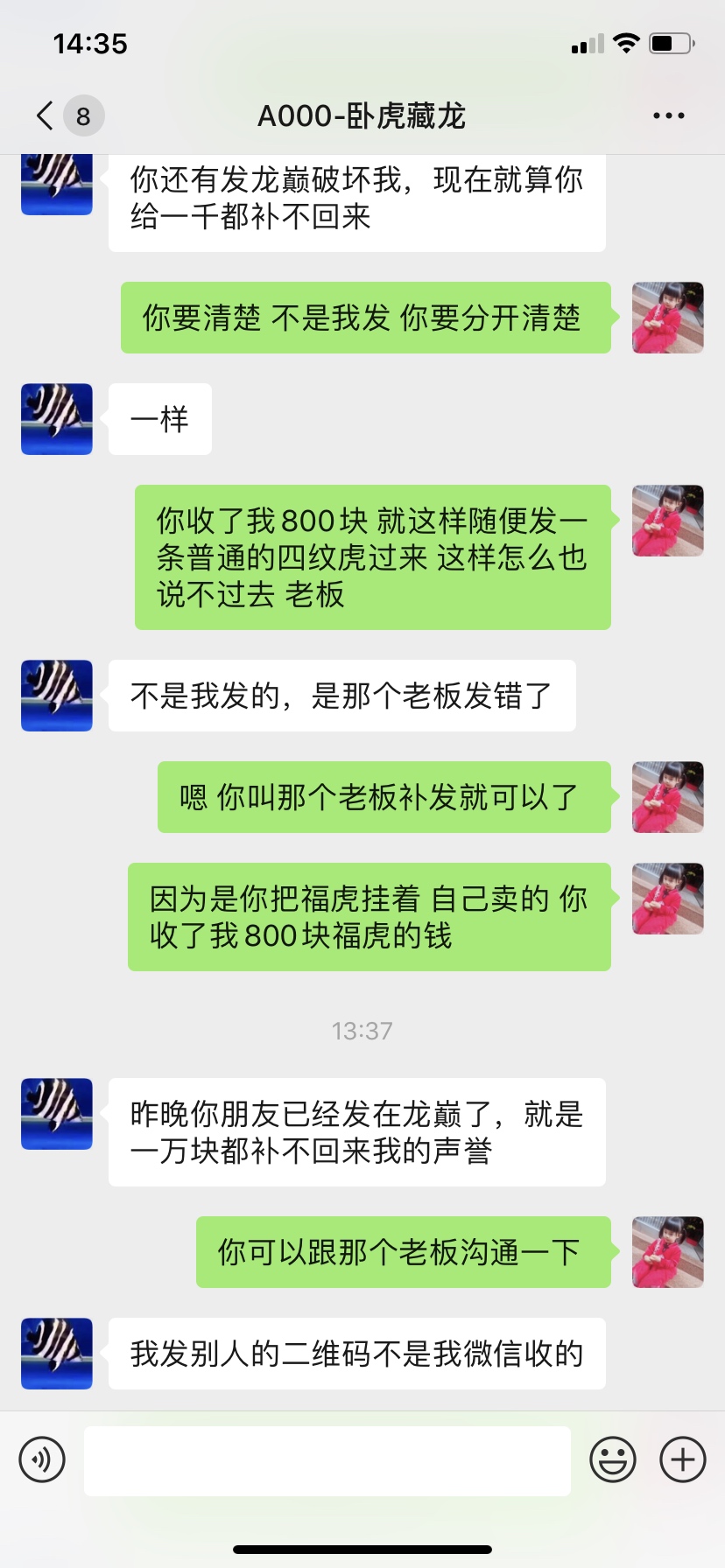 頭像換了虎友們注意了 泰龐海蓮魚 第8張