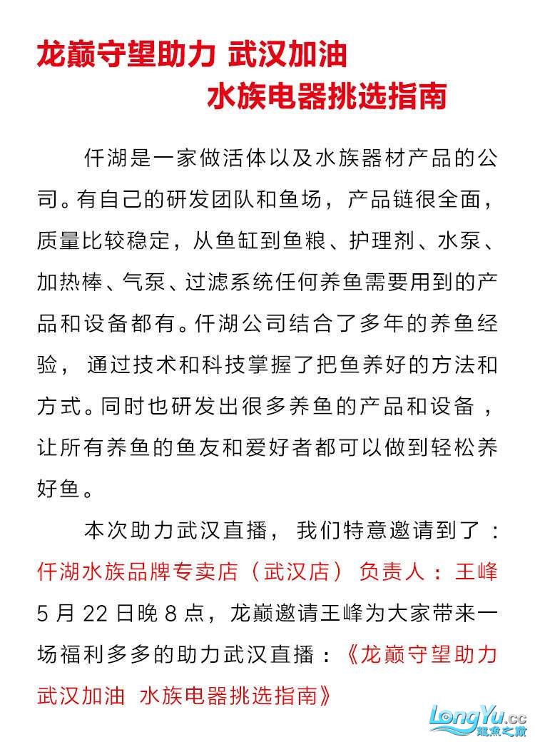 龍巔守望助力武漢加油水族電器挑選指南 黃金招財(cái)貓魚 第2張