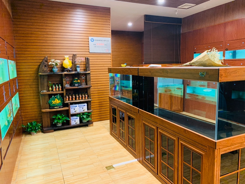 對(duì)比一下:老店&新店 紅老虎魚 第2張