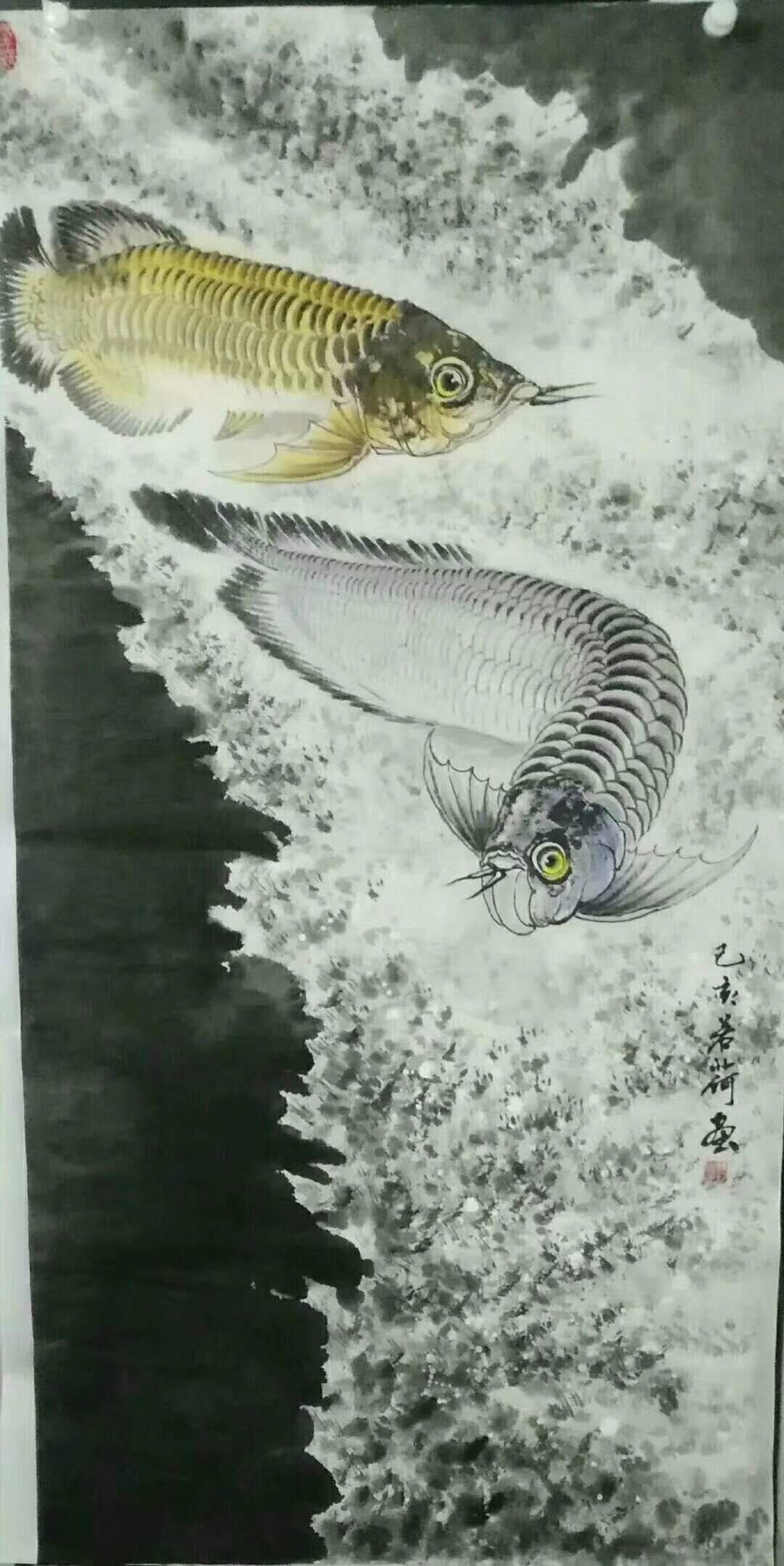 金龍魚風(fēng)水魚旺財(cái)魚龍魚國畫誠招代理人經(jīng)紀(jì)人歡迎合作