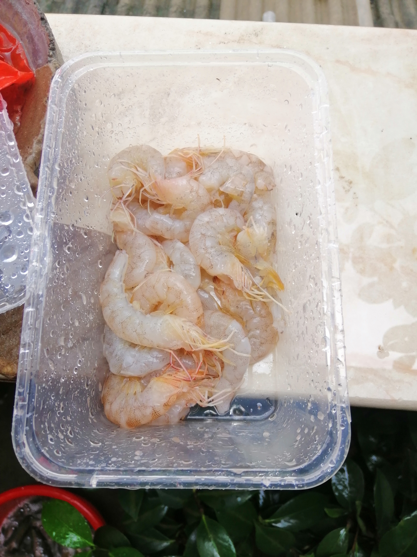 處理魚糧 羅漢魚 第5張