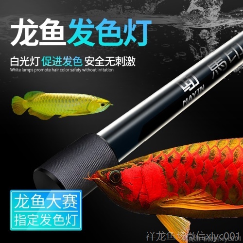 馬印龍魚燈管紅金龍魚專用燈T5潛水燈魚缸水族防水燈照明燈水中燈