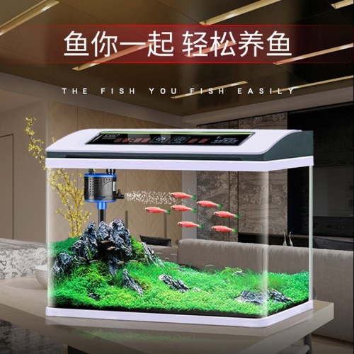 魚缸水族箱金魚缸生態(tài)魚缸過(guò)濾器玻璃魚缸懶人家用客廳彩燈魚缸壞小寵 魚缸/水族箱 第7張