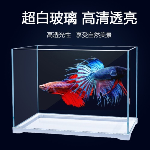 精晶JING超白魚缸604040cm 金頭過背金龍魚 第2張