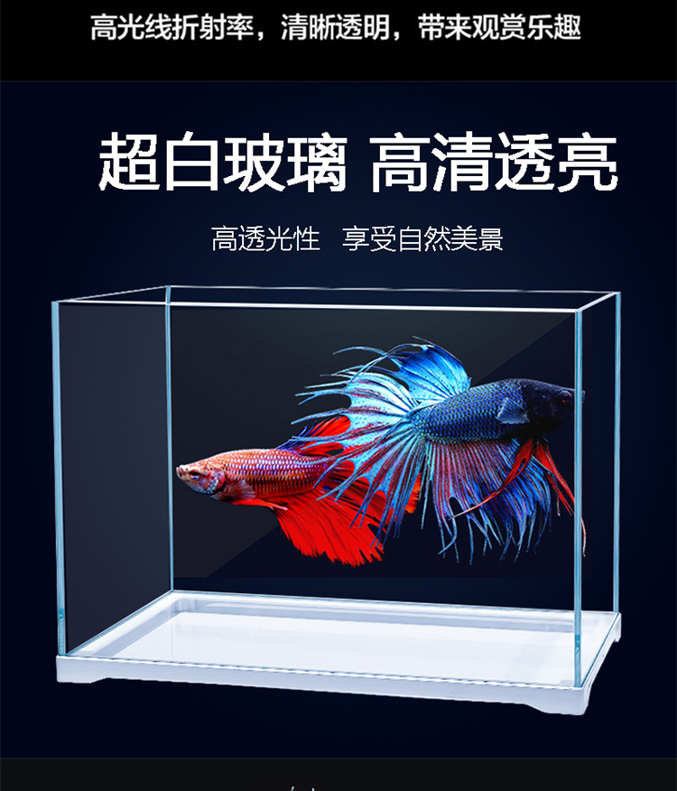 精晶JING超白魚缸604040cm 金頭過背金龍魚 第79張