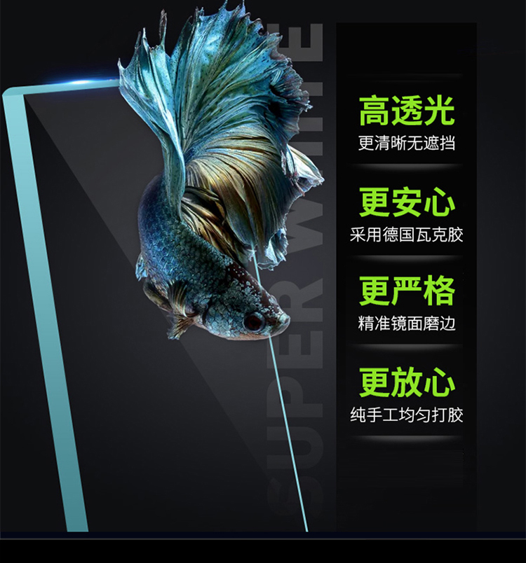 精晶JING超白魚缸604040cm 金頭過背金龍魚 第80張