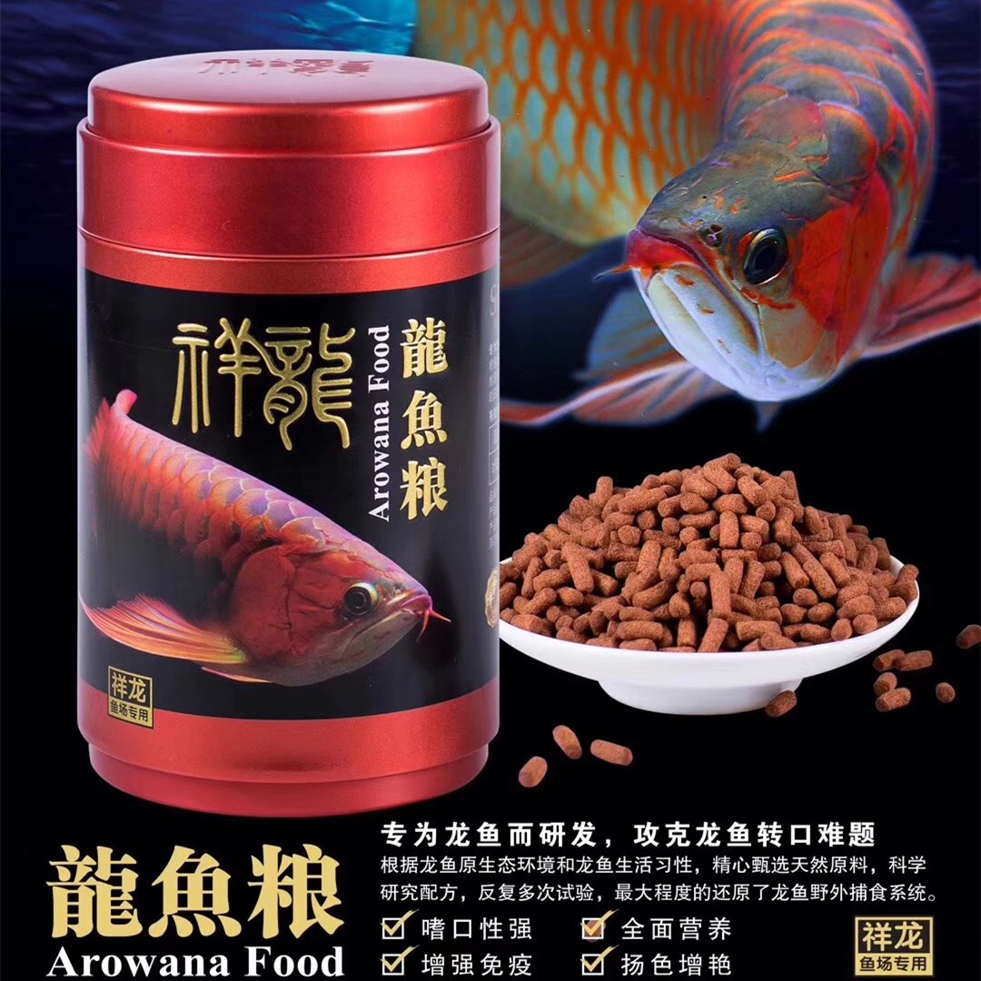 祥龍魚場紅龍金龍魚專業(yè)魚糧飼料