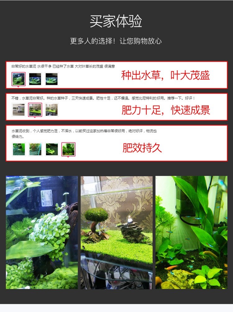 水草泥魚缸造景底砂沙免洗不渾水草缸陶粒亞馬遜基肥營養(yǎng)土泥套餐 水草 第47張