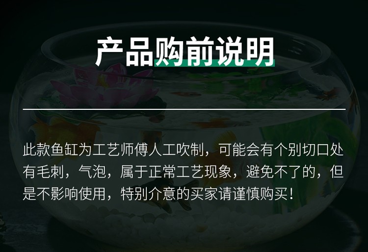 智匯玻璃魚缸圓形水族箱客廳家用小魚缸帶造景金魚缸鼓缸迷你桌面創(chuàng)意烏龜缸加厚透明草缸20鼓缸+造景套裝（彩石+水草+扇貝+貝殼） 烏龜 第29張