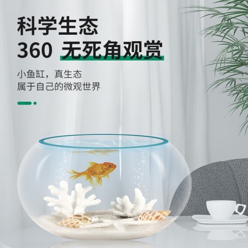 智匯玻璃魚缸圓形水族箱客廳家用小魚缸帶造景金魚缸鼓缸迷你桌面創(chuàng)意烏龜缸加厚透明草缸20鼓缸+造景套裝（彩石+水草+扇貝+貝殼） 烏龜 第5張