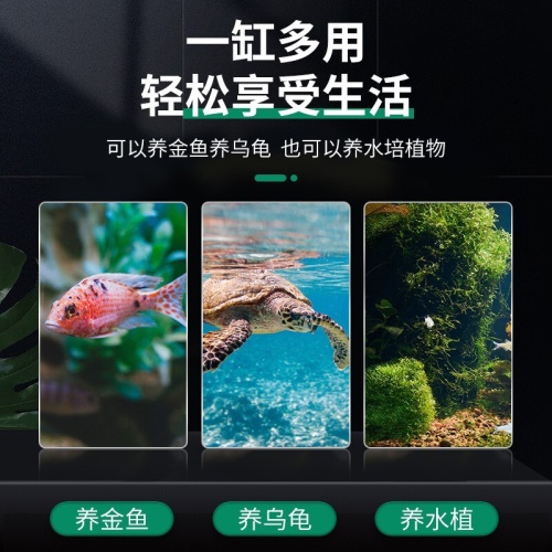 智匯玻璃魚缸圓形水族箱客廳家用小魚缸帶造景金魚缸鼓缸迷你桌面創(chuàng)意烏龜缸加厚透明草缸20鼓缸+造景套裝（彩石+水草+扇貝+貝殼） 烏龜 第4張