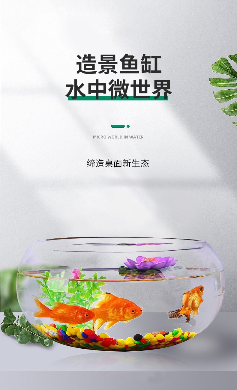 智匯玻璃魚缸圓形水族箱客廳家用小魚缸帶造景金魚缸鼓缸迷你桌面創(chuàng)意烏龜缸加厚透明草缸20鼓缸+造景套裝（彩石+水草+扇貝+貝殼） 烏龜 第30張