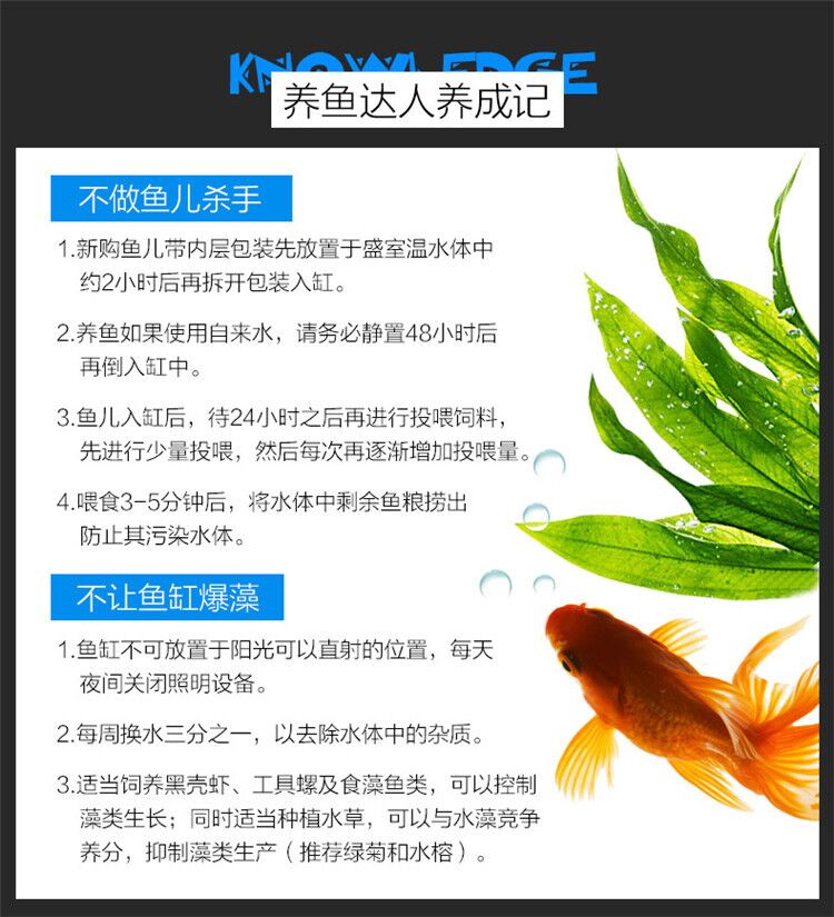 森森（SUNSUN）超白桌面小魚缸生態(tài)玻璃缸水草缸客廳造景金魚缸長方形HWK:600P單缸（600320320mm） 水草 第80張