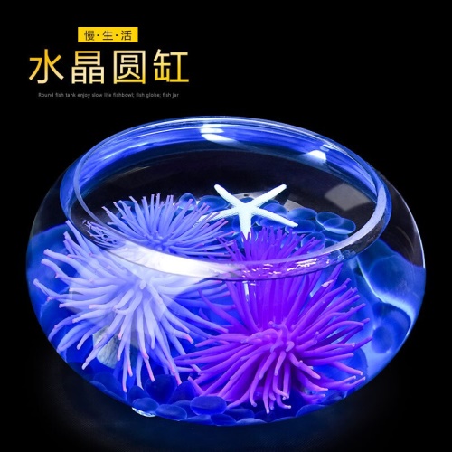 喜萊卡水族箱辦公桌面透明魚缸橢圓金魚缸創(chuàng)意小型造景生態(tài)圓形魚缸客梯家用浮法玻璃魚缸熱帶魚缸懶人魚缸 魚缸/水族箱 第6張