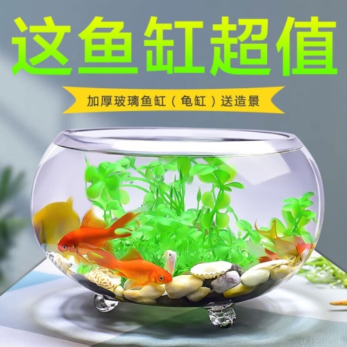 喜萊卡水族箱辦公桌面透明魚缸橢圓金魚缸創(chuàng)意小型造景生態(tài)圓形魚缸客梯家用浮法玻璃魚缸熱帶魚缸懶人魚缸 魚缸/水族箱 第11張