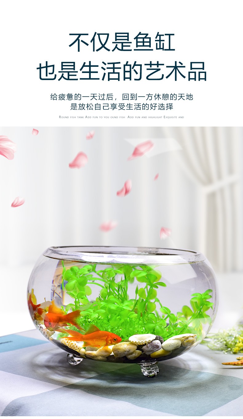 喜萊卡水族箱辦公桌面透明魚缸橢圓金魚缸創(chuàng)意小型造景生態(tài)圓形魚缸客梯家用浮法玻璃魚缸熱帶魚缸懶人魚缸 魚缸/水族箱 第105張