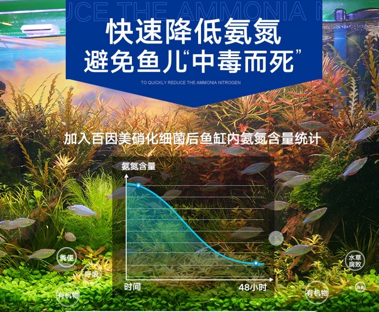 百因美硝化細(xì)菌魚缸用凈水劑水族消化細(xì)菌膠囊活菌干粉水質(zhì)穩(wěn)定劑 硝化細(xì)菌 第57張