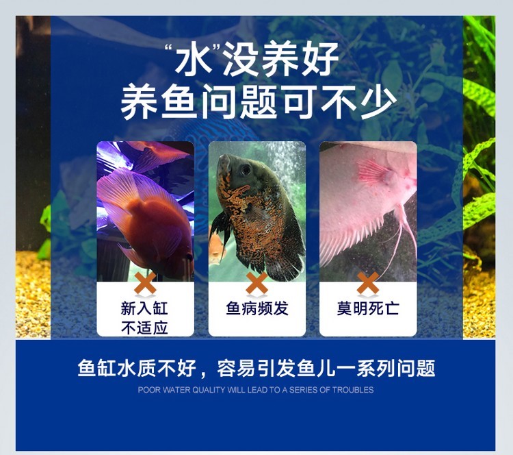 百因美硝化細(xì)菌魚缸用凈水劑水族消化細(xì)菌膠囊活菌干粉水質(zhì)穩(wěn)定劑 硝化細(xì)菌 第54張