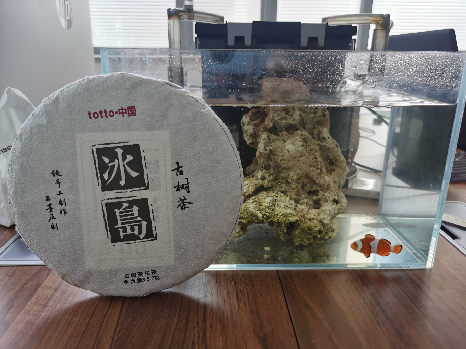 養(yǎng)魚的同時還喜歡喝茶