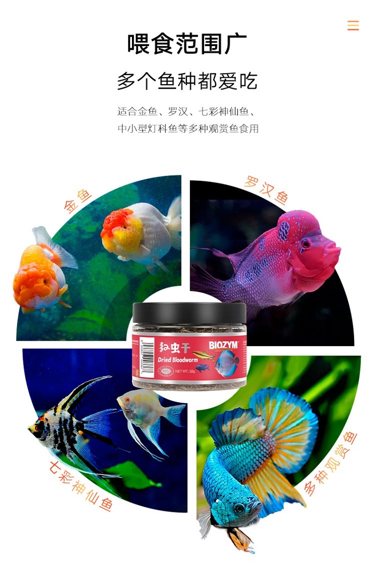 百因美紅蟲干魚食飼料觀賞魚熱帶魚小型魚金魚凍紅蟲冰凍飼料新鮮 戰(zhàn)車紅龍魚 第20張