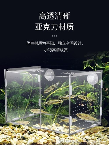 孔雀魚繁殖盒孵化盒亞克力魚缸隔離盒產(chǎn)卵器魚卵繁殖箱小魚產(chǎn)房 祥龍傳奇品牌魚缸 第4張